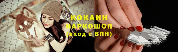 ешки Козельск