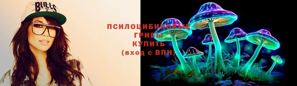 спайс Козловка