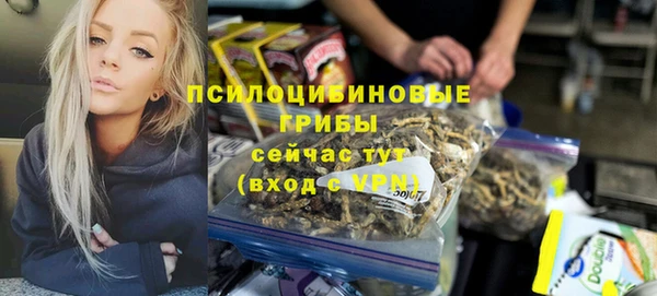 mdpv Кодинск