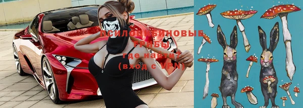 mdpv Кодинск